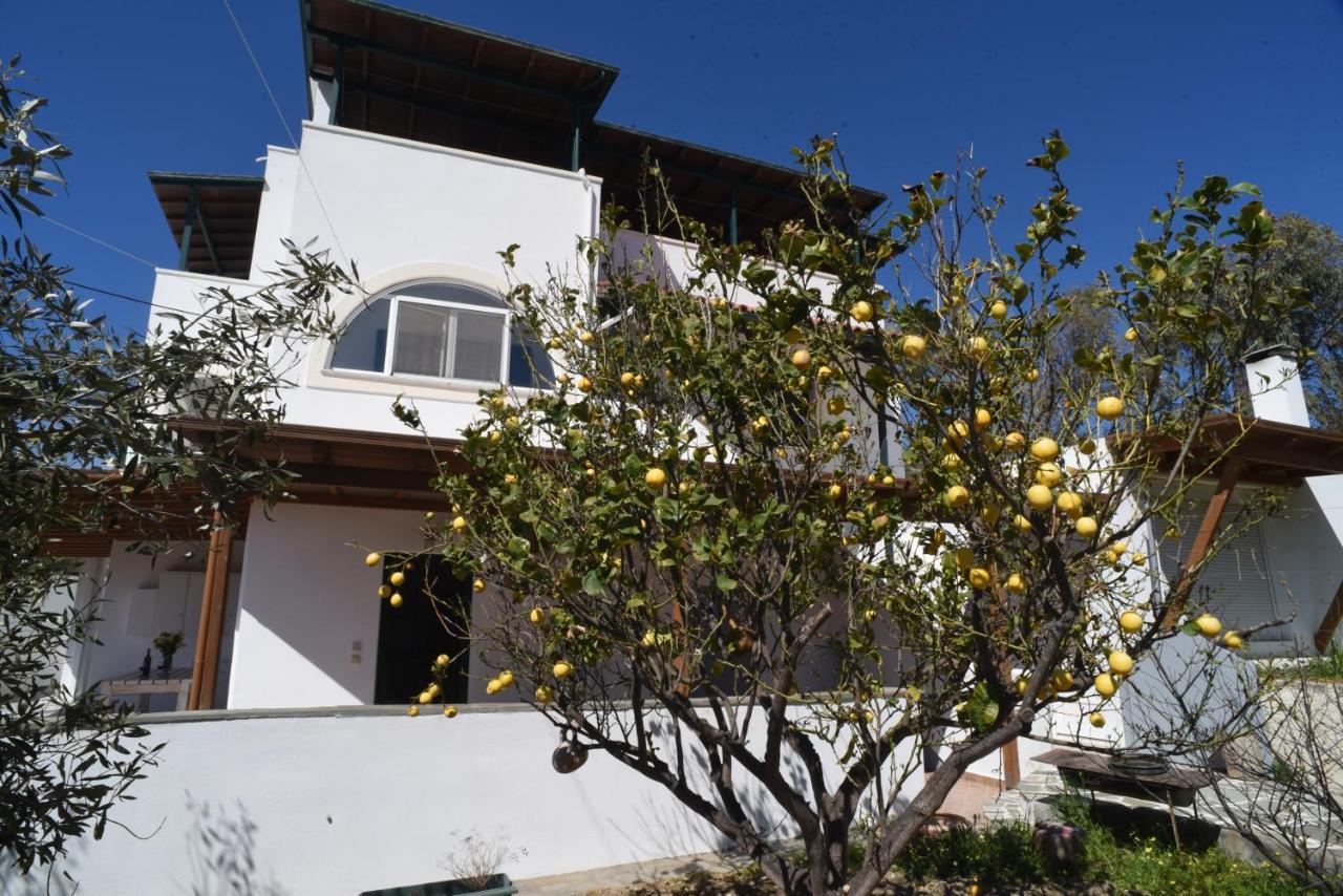 MélanesBernie House 2公寓 外观 照片